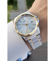 Casio CSISTE50 Gold Gümüş Renk Hediye Paketli Erkek Kol Saati