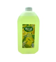 HAYAT 5LT LİMON KOLONYA BİDON GO-53-vice 02213