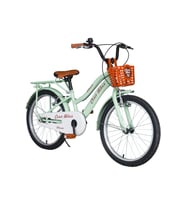 Cesa Bikes Bagajlı Demir Çamurluk 20 jant 7-10 Yaş Pastel YEŞİL Çocuk Bisikleti