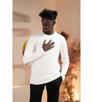 Paul Martin Modal Esnek Kumaş Regular Fit Mevsimlik Sweatshirt