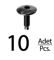 Seat Peugeot Citroen Renault VW BMW 3 E90 için Torx (Tork) Koltuk Kızak Civatası - 10 Adet