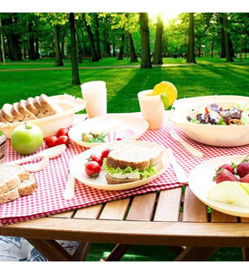 81134 Piknik Seti, 32 Parça, 6 Kişilik, Asorti