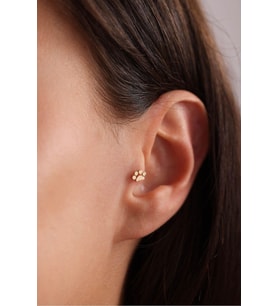 Kedi Köpek Pati Tragus Küpe