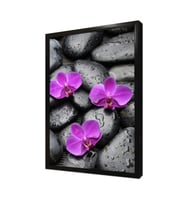 Spa Taşları ve Orkide Çerçeveli Mdf Tablo