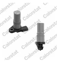 CALORSTAT VERNET CS0064 Krank Sensoru 240116482R 8200746592