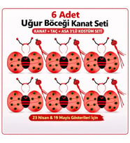 639lı Uğur Böceği Kostüm Seti - Kanat Taç Asa