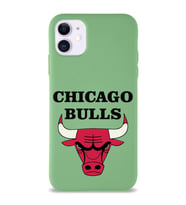 Apple iPhone 11 Uyumlu Lansman Kılıf Chicago Bulls Tasarımlı Altı Kapalı İçi Kadife Kaplı  Kapak (Şeffaf)