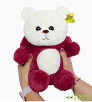 Pababo Uykumcuk Ayıcık 40 cm (Bordo)