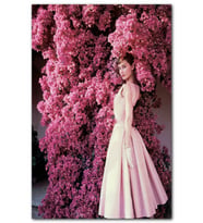 Cakatablo Audrey Hepburn Kırmızı Çiçekler Önünde Yakın Çekim MDF Tablo