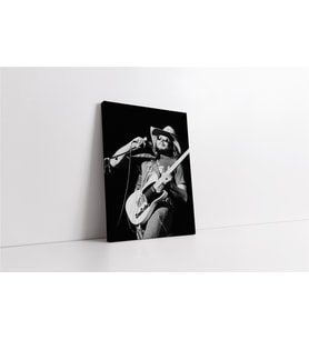 Guitarist