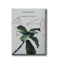 Green Plants Canvas Tablo MİND235