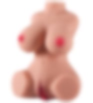 River World 3,3 kg'lık Yarım Vücut Mini Boy
