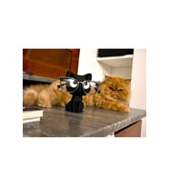 Kedi Gözlük Standı, Gözlük Tutucu Dekoratif Plastik Obje 14x9 cm Sevimli Kedi Glasses Holder