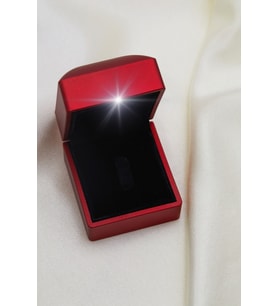 Elika Silver Işıklı Hediye Kutusu (Kırmızı)