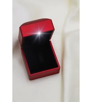 Elika Silver Işıklı Hediye Kutusu (Kırmızı)
