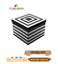 26x26x20 Çok Amaçlı Kutu Karton Kutu Pasta Kutusu (10 Adet)