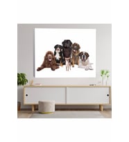 Köpek Kardeşliği Temalı Kanvas Tablo