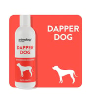 Animology Essentials Dapper Dog Shampoo Köpek Şampuanı 250 ML