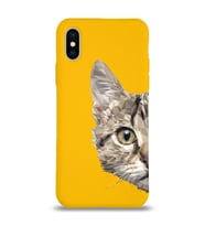 Apple iPhone X Uyumlu Lansman Kılıf Catface Tasarımlı Altı Kapalı İçi Kadife Kaplı Silikon Kapak (Şeffaf)