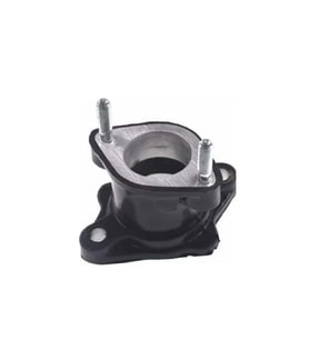 CG 200 Manifold
