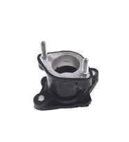 CG 200 Manifold