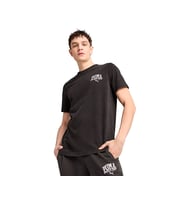 Puma Puma Class Tee Erkek Günlük Tişört 68464001 Renkli (Çok Renkli)