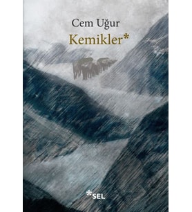Kemikler