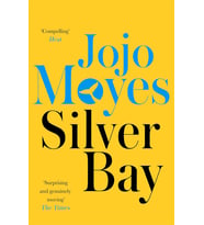 Silver Bay: 'Surprising And Genuinely Moving' - The Times