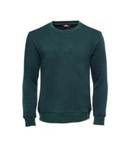 Yeşil Desensiz Bisiklet Yaka Sweatshirt - Wessi