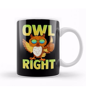 Funny Owl Right Thumbs Up Hippie Cute Alright Pun Kupa Bardak Porselen