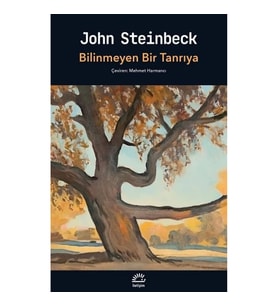 Bilinmeyen Bir Tanrıya