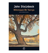 Bilinmeyen Bir Tanrıya