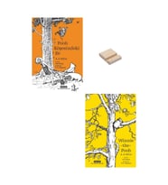 POOH KÖŞESİNDEKİ EV ve WINNIE-THE-POOH 2Lİ SET