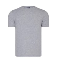 T8569 DEWBERRY BİSİKLET YAKA ERKEK T-SHIRT-DÜZ GRİ (Karışık)