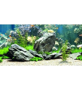 Kanki Pet KP1256334 Akvaryum Arka Fon Yapıştırma 125 x 63 CM