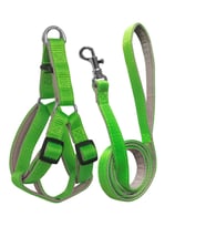 Gezdirme Kayışlı Dokuma Köpek Göğüs Tasma Seti 52*73-110 cm Neon Yeşil