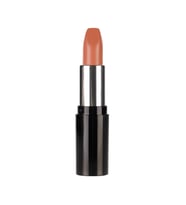 Pastel Nude Lipstick 549 Ruj