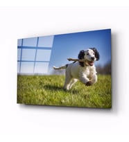 İdealizbiz Köpek Hayvan Cam Tablo 4mm Dayanıklı Temperli Cam