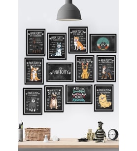 12 Parça Çerçeve Görünümlü Köpekler Anatomi Veteriner Temalı Mdf Tablo Seti (80x80 Cm)