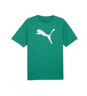 Puma Teamrise Logo Jersey Cotton Erkek Günlük Tişört 65870505 Yeşil
