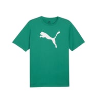 Puma Teamrise Logo Jersey Cotton Erkek Günlük Tişört 65870505 Yeşil