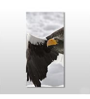 Kartal Kanvas Tablo 110x165cm (Karışık)