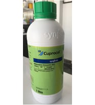 Syngenta Zz Cuprocol 1L 700 g/L metalik bakıra eşdeğer bakır oksiklorid