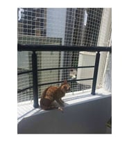2,50 x 16 mt Balkon Kedi Güvenlik Filesi Kedi Ağı Kalın Balkon Kuş Güvercin Önleme Ağı  (Çok Renkli)
