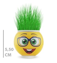 River World 1 Adet Emoji Figürü Saksı Olan Çim Adam