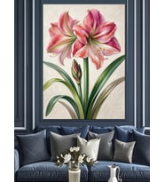 Beyaz Arka Planda Pembe Amaryllis Dekoratif Kanvas - Mdf Ahşap Tablo