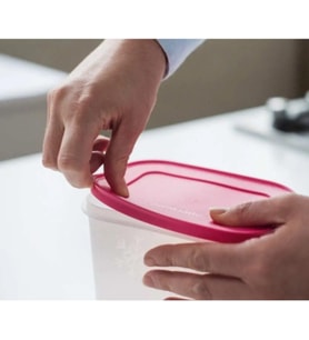 Tupperware Alaska Saklama Kabı 1 Adet
