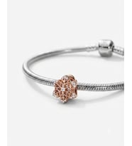 Kadın Rose Renk Kar Tanesi Model Gümüş Charm