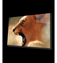 Aslan Hayvan Cam Tablo 4mm Dayanıklı Temperli Cam