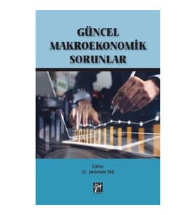 Güncel Makroekonomik Sorunlar